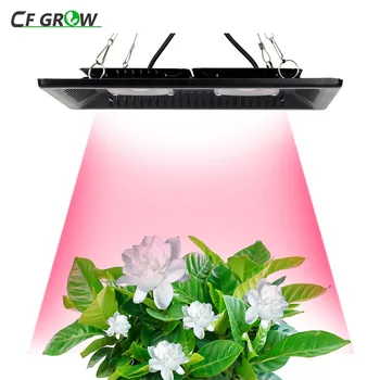 Led Лампа за отглеждане на растения Пълен Набор от 100 W 200 W 300 W Водоустойчива IP67 COB Лампа за Хидропонно отглеждане на оранжерийни растения в закрити помещения и на открито