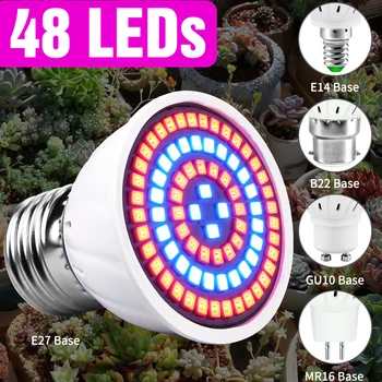 E14 LED Лампа за отглеждане на Led Лампа Пълна Гама от E27 Фитолампа GU10 MR16 220V Палатка за отглеждане на закрито 2835SMD 48 60 80 led крушки за растения B22